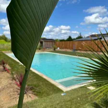 Grande De Region De Bordeaux ヴィラ アンバーレ・エ・ラグラーヴ