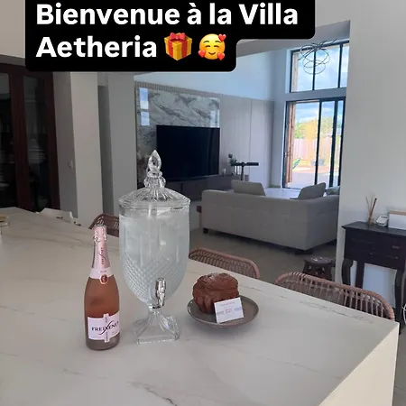 Villa Grande De Region De Bordeaux